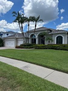 painting contractor Palm Harbor before and after photo 1781026954921_IMG_2693