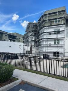 painting contractor Palm Harbor before and after photo 1781026965977_IMG_5231